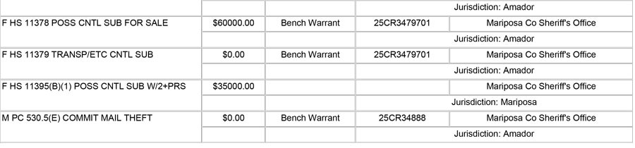 mariposa county booking report for march 3 2026 b
