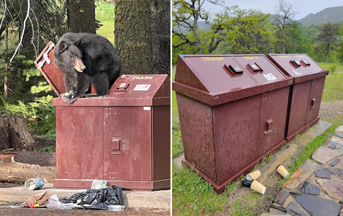NPS bear food
