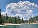 Rural County Representatives of California (RCRC) Supports Senate Bill 1060: Property Insurance Underwriting: Risk Models - Would Aid Residents Looking to Keep or Obtain Insurance Policies in High Wildfire Risk Areas 
