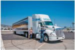 California Air Resources Board Announces California Moves Forward on Public Health and Clean Vehicles as Federal Agencies Move Backwards