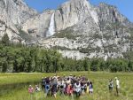 10,000th California Red-Legged Frog Released in Yosemite National Park, Celebrating 10 Years of Coordinated Conservation Work