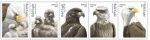 Postal Service Announces Bald Eagle Stamps Take Flight