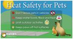 Cal OES Offers Tips on Summer Safety for Your Pets – Includes Signs of Overheating