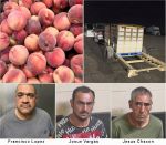 Ag Crime Detectives Arrest Suspects for Felony Grand Theft of Peaches in Fresno and Tulare Counties