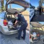 Three Yuba City Suspects Arrested After Tesla Charging Cords Cut and Stolen