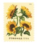 Postal Service Celebrates Sunflowers With New Forever Stamp