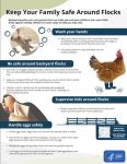 Mariposa County Health Department Offers Information on Safely Handling Live Poultry and Eggs