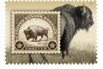 Postal Service Announces American Bison Stamps Issued