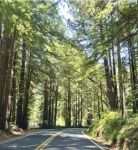 Six Exits To Safety: UC Study Finds Wildfire Survival Depends On Roads For Evacuation