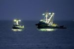 NOAA: 7 Ways This Years El Niño and Large Marine Heatwave Could Affect West Coast Marine Species