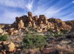 Mojave Desert Land Trust in San Bernardino County Granted $7,500,000 as California Governor Gavin Newsom Announces $44 Million For 15 Tribal Stewardship, Salmon Recovery and Desert Protection Projects