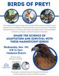 Mariposa County Library to Host Presentation on Birds of Prey in Mariposa on Wednesday, November 4, 2026