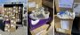 Los Angeles Task Force Arrest 12 Suspects for Cargo Theft Targeting Nike; Over $2 Million in Shoes Stolen