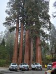Road Construction Closures Lifted in Sequoia National Park as Work Concludes Ahead of Schedule