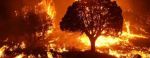 President Trump’s Secretary of Agriculture Issues 2026 Wildfire Readiness Memorandum Ahead of Active Fire Season, Says, “This Fire Season We Are Prepared To Continue Our Full Suppression Strategy To Suppress Fire Starts Quickly To Protect Our Forests”