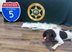 Two Suspects Arrested After Fresno County Sheriff K-9 Willow Sniffs Out 10 Pounds of Meth During Coalinga Traffic Stop