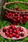 California Cherry Crops Decimated by Spring 2026 Storms, California Farm Bureau Reports