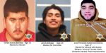 Tulare County Sheriff Adds Three to Top Ten Most Wanted Fugitive List in Tulare County