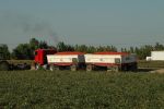 Congresswoman Adelita S. Grijalva Introduces the Fairness for Farm Workers Act to Strengthen Federal Labor Protections