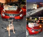Two Suspects Arrested with 77 Pounds of Suspected Cocaine Seized in Merced County