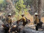 Yosemite National Park Dome Fire Tuesday Morning, October 6, Update: 6,806 Acres with 40% Containment; Yosemite National Park is Open and Operating Normally, Cause is Under Investigation