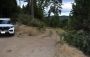 Nevada County Sheriff Identifies Human Remains Found Along Nevada City Road as Grass Valley Man