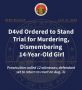 Singer D4vd Ordered to Stand Trial for Murdering and Dismembering 14-Year-Old Girl, Los Angeles County DA Reports