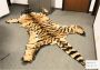 Anaheim Couple Sentenced for Trafficking Protected Wildlife Items Between Oregon and Vietnam