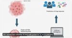 NIH Researchers Develop AI Tool with Potential to More Precisely Match Cancer Drugs to Patients
