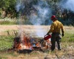 North Fork Mono Tribe's Cultural Resources Revitalization Project Receives $865,872 as CAL FIRE Awards $4.7 Million to Support Tribal Wildfire Resilience and Cultural Stewardship