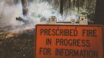 Prescribed Fire Operations to Begin Across Stanislaus National Forest