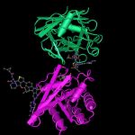 UCLA-led Study Finds Investigational Daily Pill Doubles Survival In Metastatic Pancreatic Cancer