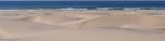 Center for Biological Diversity and Northern Chumash Tribal Council Challenges California’s ‘Illegal’ Oceano Dunes Off-Roading Plan in San Luis Obispo County