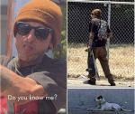 Fresno Police Seek Public’s Help IDing Suspect Wanted for Vandalizing Property and Assaulting a Witness