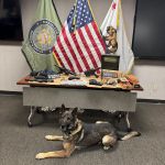 Keyes Man Arrested After Multiple Firearms Discovered During Warrant Search