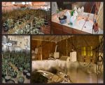 Nearly 400 Marijuana Plants Found in Placer County Residence Turned into Illegal Indoor Marijuana Grow Operation