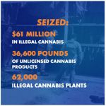 Governor Gavin Newsom’s Office Announces California Seizes Illegal Cannabis Products Worth $61 Million Since Start of 2024