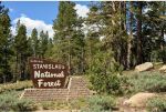 45 Million Acres of Public Lands, Parks Threatened by Proposed End of Roadless Rule Protections, National Parks Conservation Association Reports