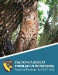 California Department of Fish and Wildlife Completes Bobcat Population Survey, Finds Stable Statewide Numbers Estimated at 62,000 Animals