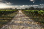 Rural County Representatives of California (RCRC) Reports September 30, 2025, Deadline Looms for Farm Bill Reauthorization, Secure Rural Schools Act, and Appropriations