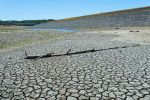 California Department of Food and Agriculture (CDFA) Announces  Public Comment Period for California’s Climate Resilience Strategy for Agriculture is Now Open