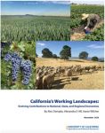 New UC ANR Report Finds Agriculture, Natural Resources Sectors Support California’s Rank as World’s Fourth-Largest Economy