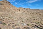 Center for Biological Diversity Reports Trump Administration Greenlights Controversial Mining Project on California Desert Lands in Inyo County near Death Valley National Park