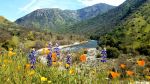 Sierra National Forest Announces Forest Orders for Food & Refuse Storage and Wilderness Food & Refuse Storage in Effect Today, Friday, May 22