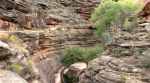 Teen Hiker Dies of Heat-Related Illness on Bright Angel Trail in Grand Canyon National Park
