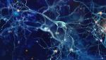 NIH Reports Researchers Discover Single-Cell Brain Activity that Underlies Human Speech