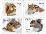 Squirrels & Chipmunks in Snow Stamps Scurry Into Post Offices