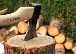 USDA Reminds the Public: Help Protect America’s Trees—Buy Firewood Where You Burn It, Say Moving Firewood Long Distances Can Spread Invasive Forest Pests