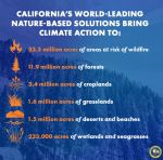 Governor Gavin Newsom’s Office Announces With Historic Targets, California Will Use Millions of Acres of Land to Fight the Climate Crisis