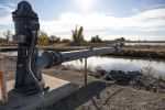 Governor Newsom Says, “California’s Long Been A Leader On Water Policy, And We’re Taking An All-In Approach To Securing Our Water Future “ as a New Report by the Department of Water Resources Highlights California’s Vital Work To Recharge Groundwater